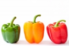 Red, Yellow, Green Capsicum ( 350-500Gms)