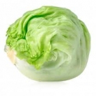 Lettuce Iceberg (300gm - 400gm)