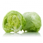 Lettuce Iceberg (300gm - 400gm)